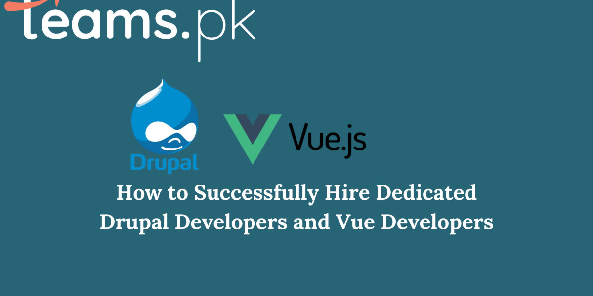 How to Successfully Hire Dedicated Drupal Developers and Vue Developers