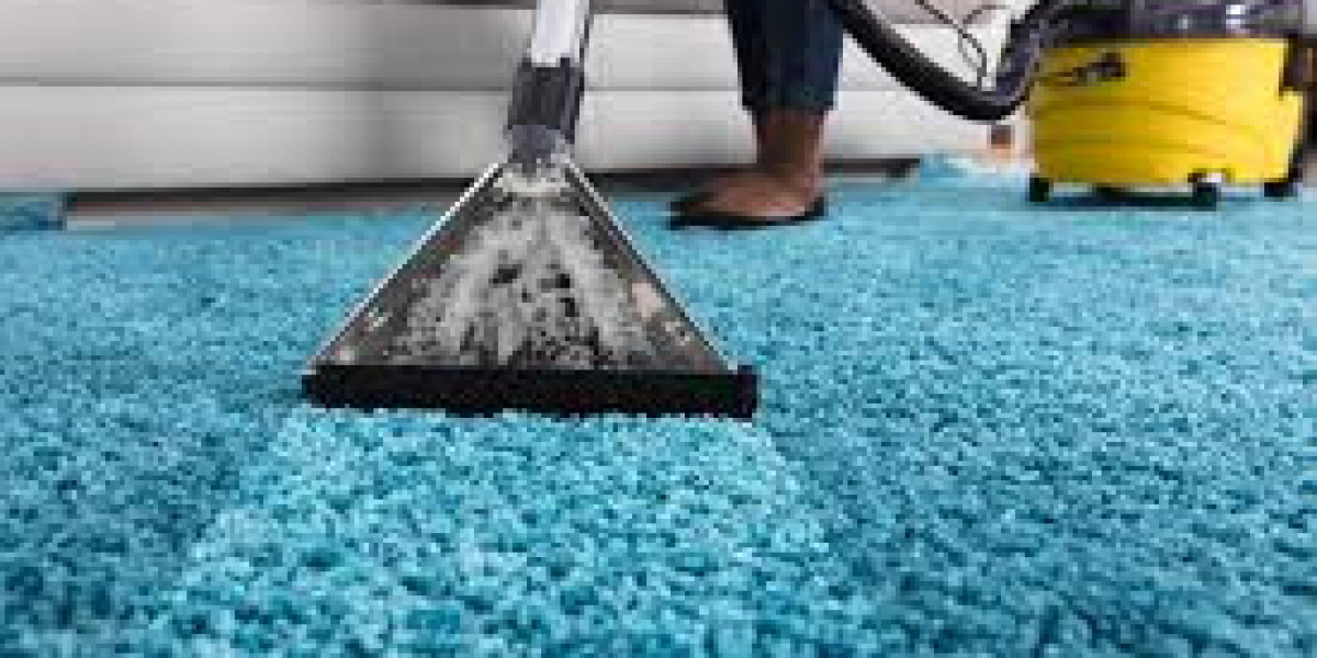 Transform Your Home’s Comfort and Health with Clean Carpets