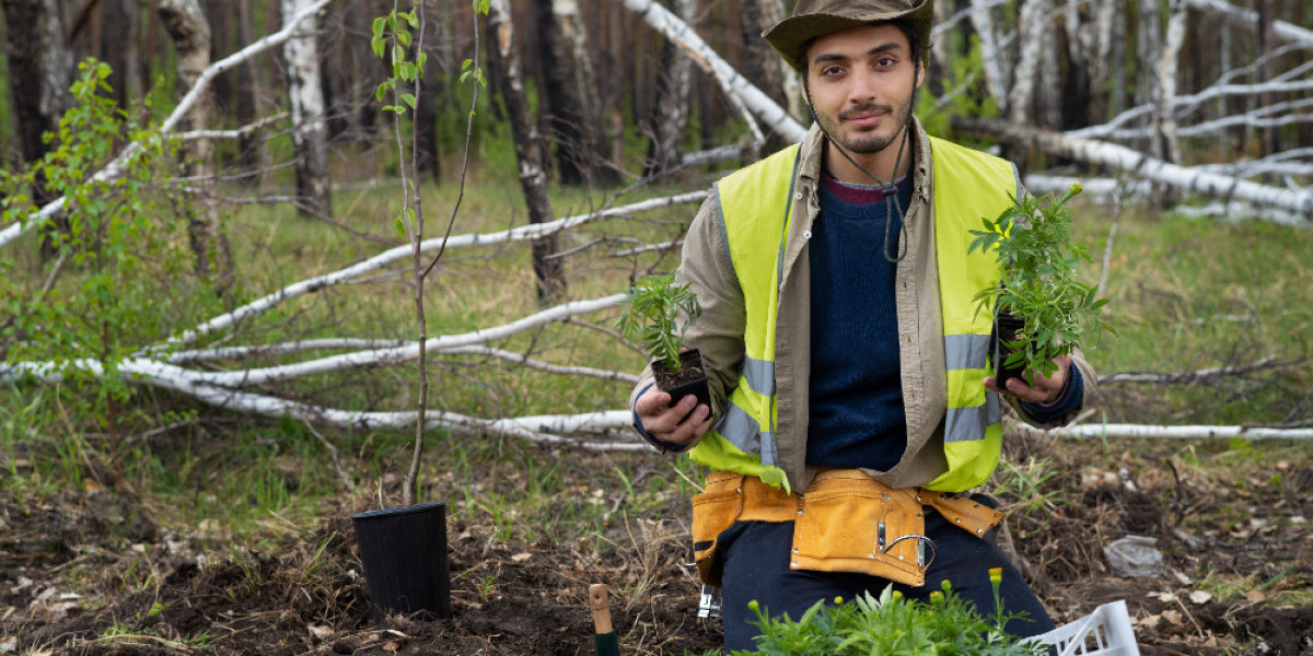 Optimize Your Outdoor Spaces with Reliable Commercial Landscaping Services Designed for Businesses Like Yours