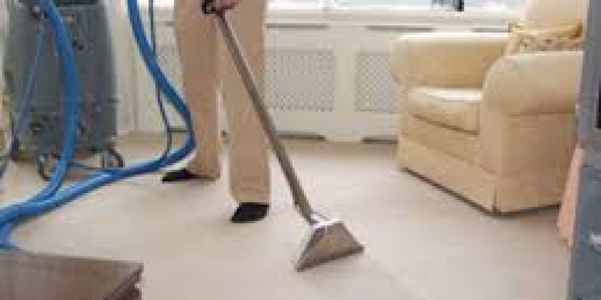 Why Carpet Cleaning Should Be a Priority for Home Wellness and Comfort