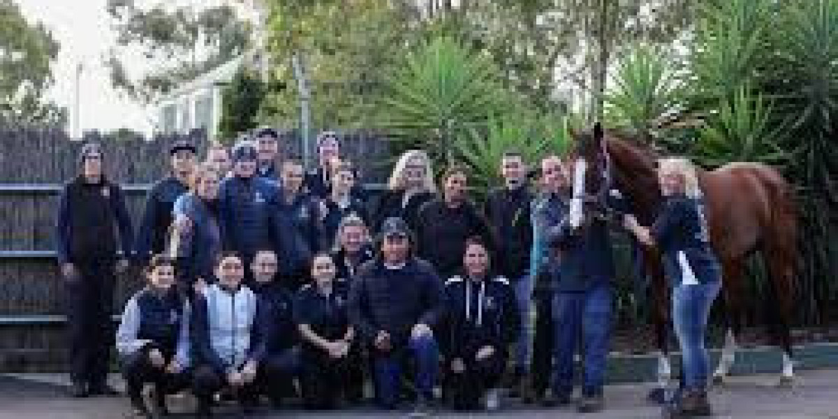 Finding Racehorse Shares for Sale in Melbourne: Your Guide to Ownership Opportunities