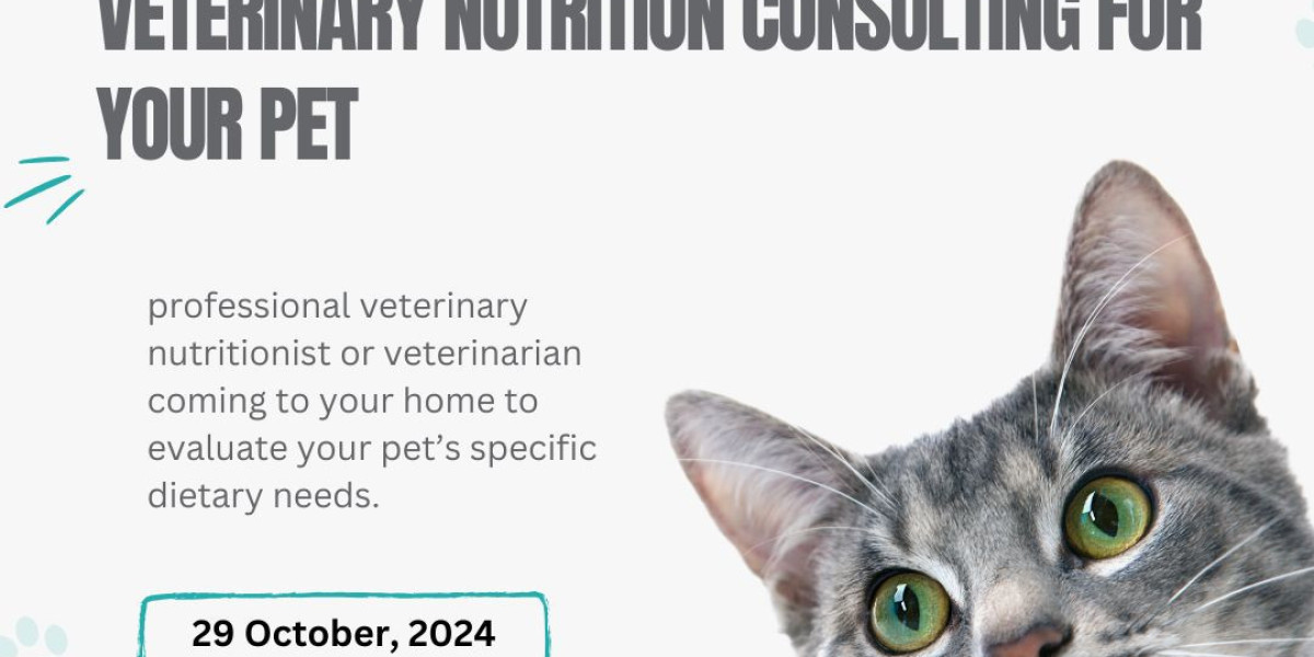 Why You Should Consider In-Home Veterinary Nutrition Consulting for Your Pet