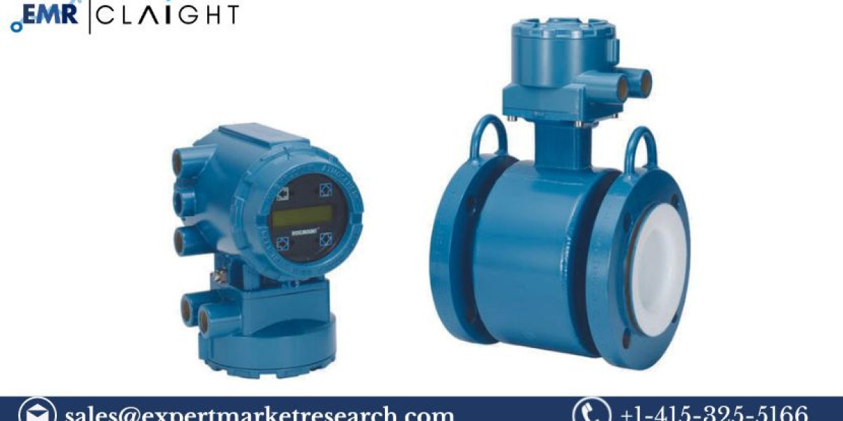 Magnetic Flowmeters Market Size, Share & Trends 2025-2034