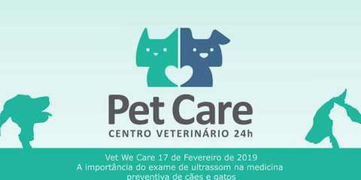 Exames Veterinários: Encontre os Melhores Locais para Cuidar da Saúde do Seu Pet com Agilidade e Confiabilidade