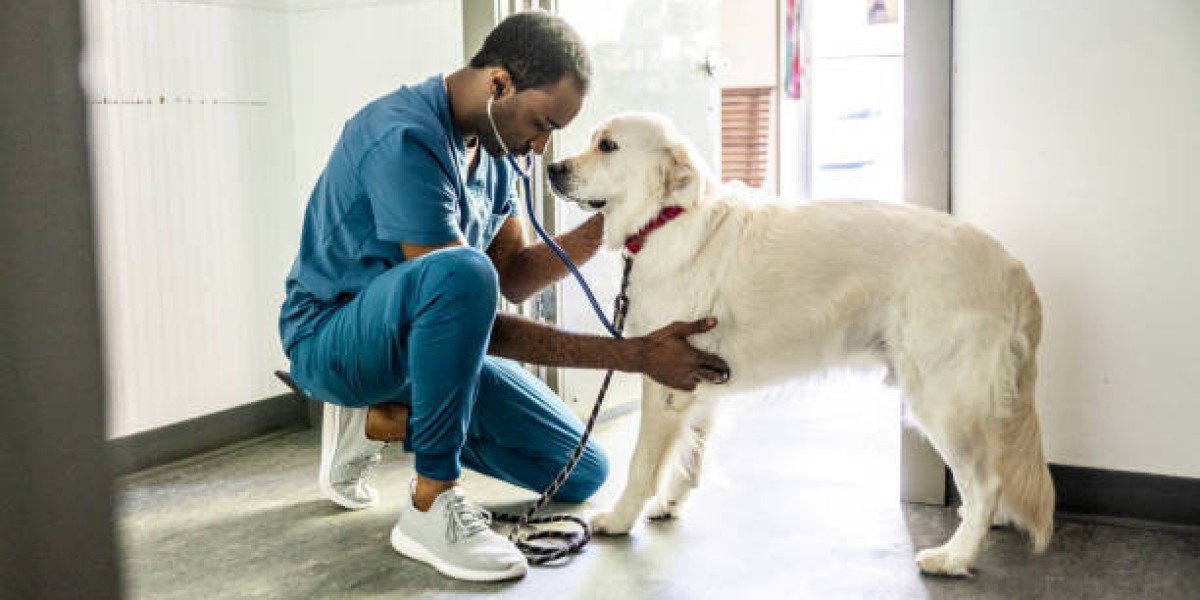 Where Pets Thrive and Owners Smile: Our Pet Care Promise