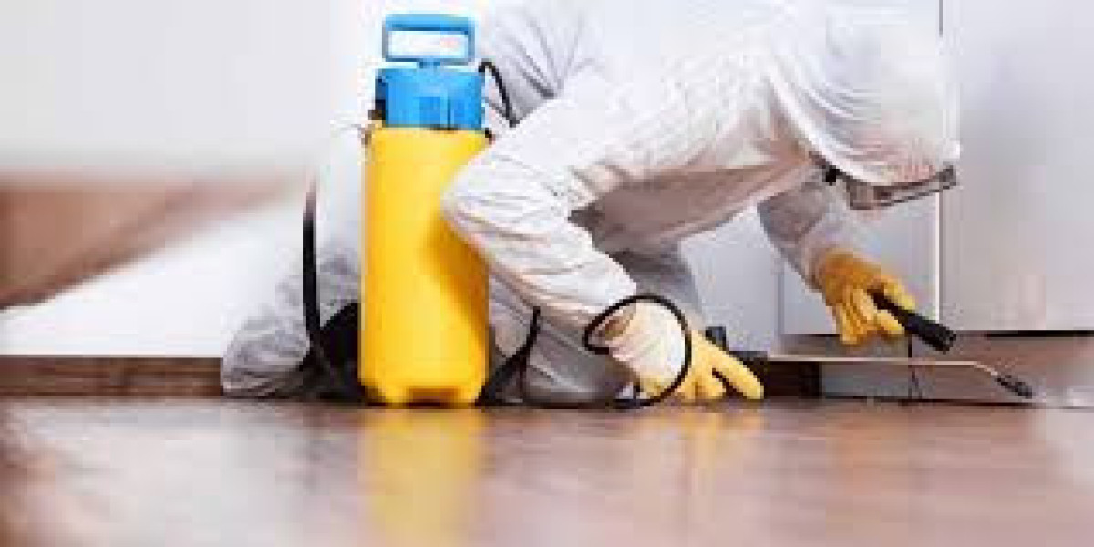 Expert Pest Control Services for a Safe and Healthy Home