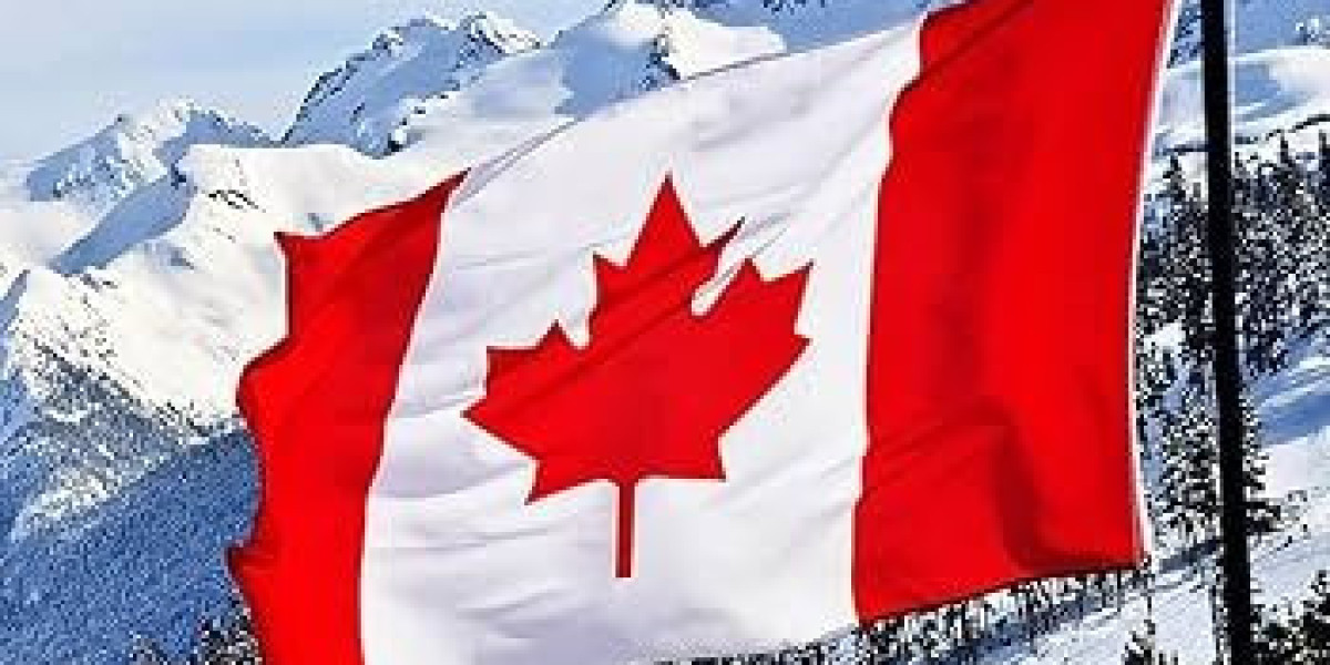 Best Canadian Immigration Consultants In Dubai