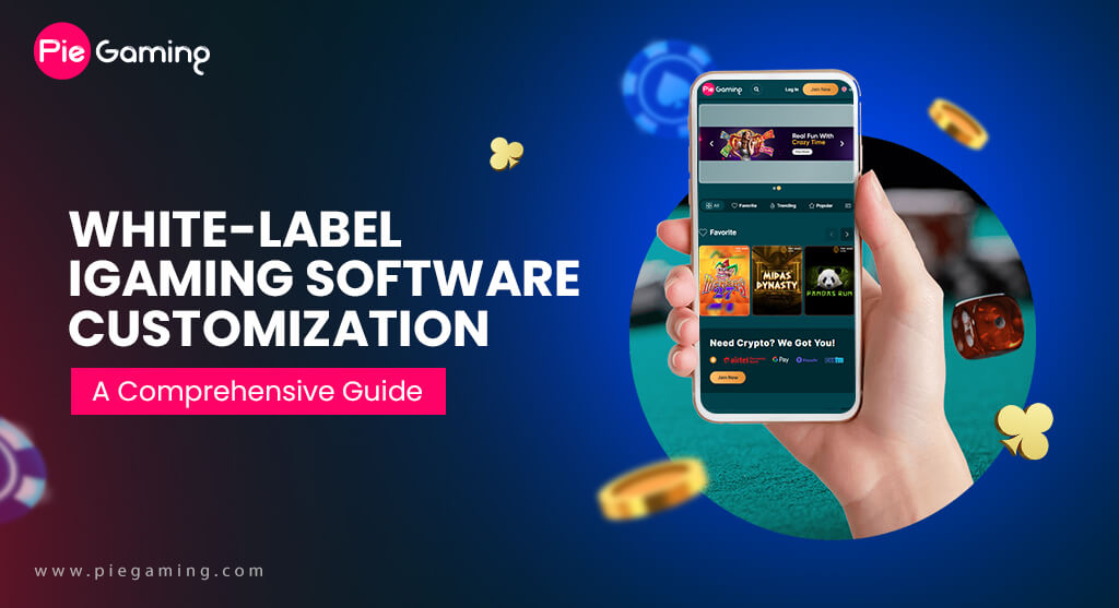 White Label iGaming Software Customization: A Comprehensive Guide