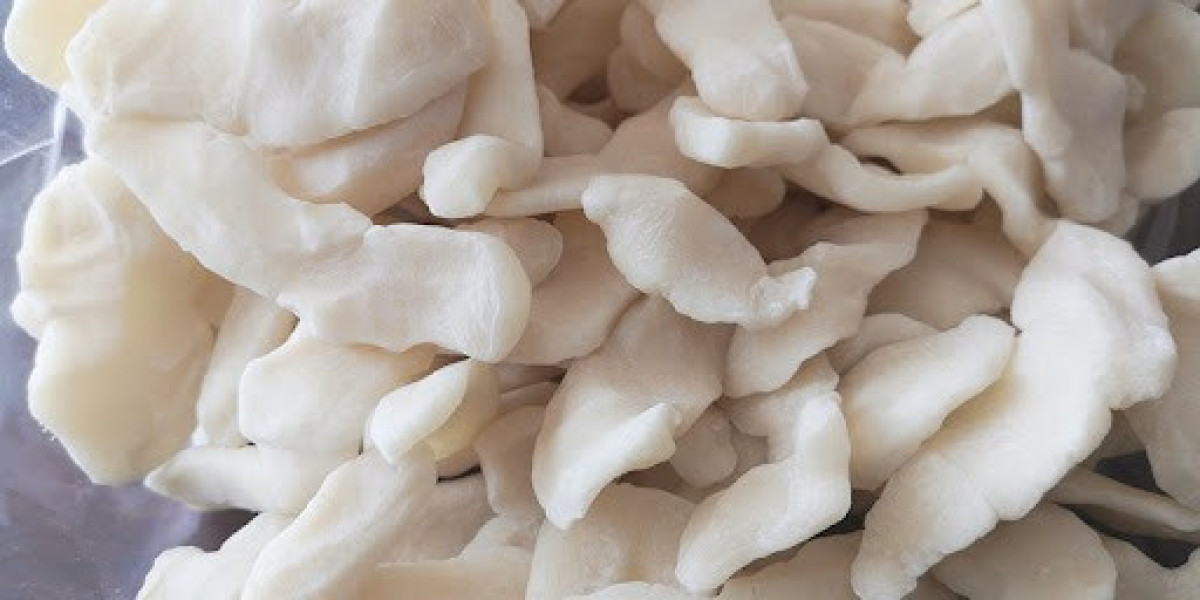 Chloroprene Rubber Manufacturing Plant Project Report 2025: Cost, Industry Trends and Business Opportunities