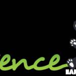 Essence Early Learning Mackay Profile Picture