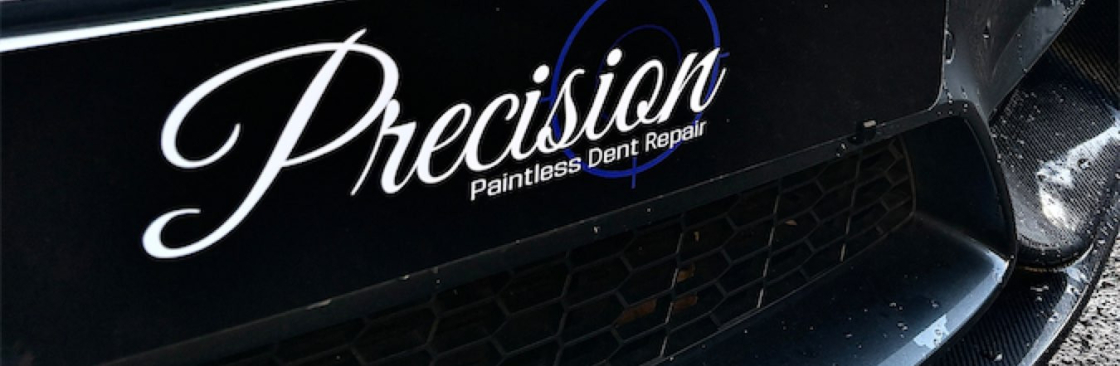 Precision Pdr Cover Image
